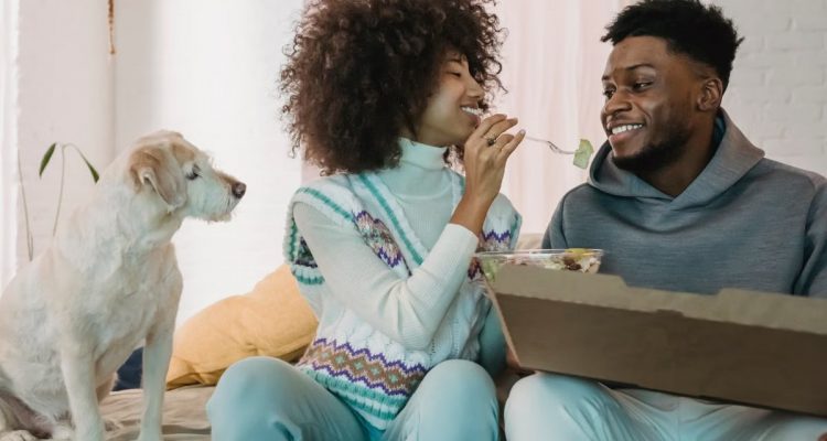 Happy African American couple eating fresh organic salad together while cute white domestic dog watching
